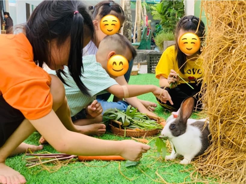 Hoạt động trải nghiệm tại Măng Non Sped